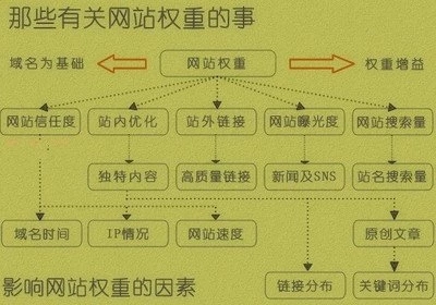 最新SEO秘诀：网站权重计算因子！