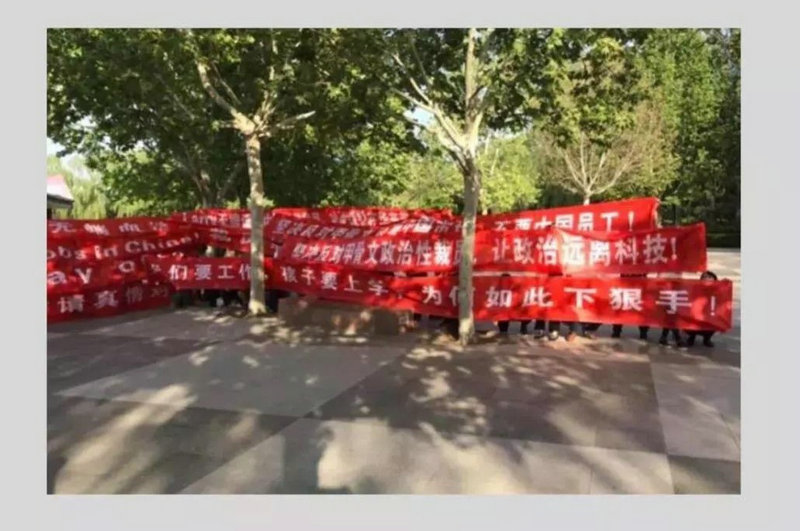 甲骨文软件公司裁员.jpg