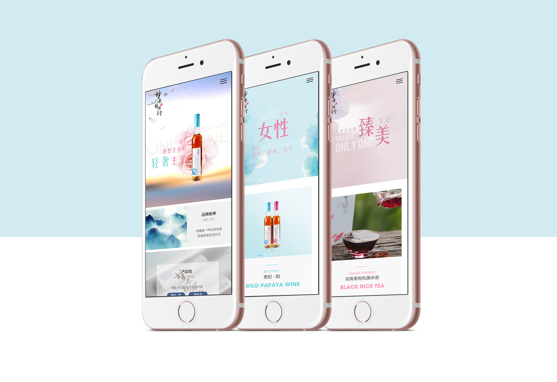 西安网站建设 (3).jpg